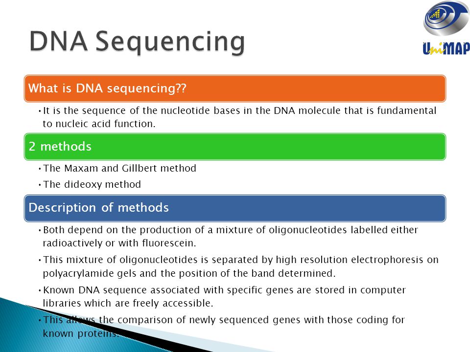 NUCLEIC ACIDS PTT 202: ORGANIC CHEMISTRY FOR BIOTECHNOLOGY - ppt video ...