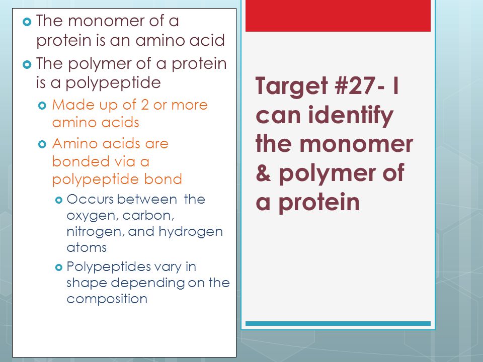 Target #27- I can identify the monomer & polymer of a protein