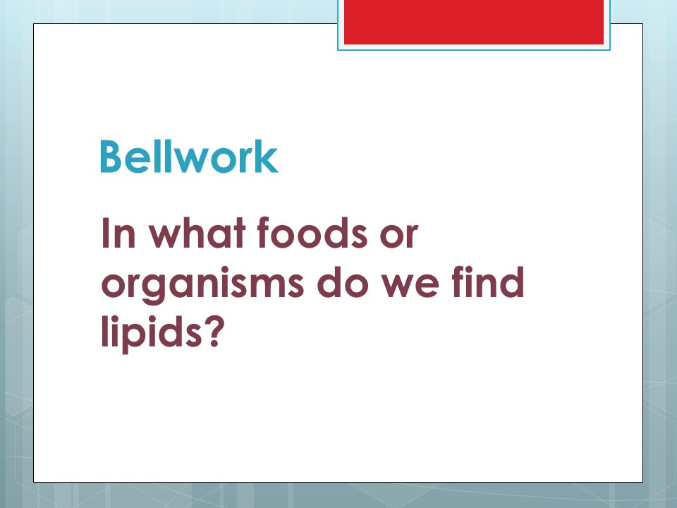 Bellwork In what foods or organisms do we find lipids