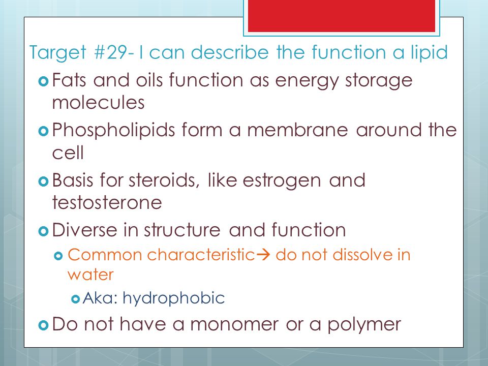 Target #29- I can describe the function a lipid
