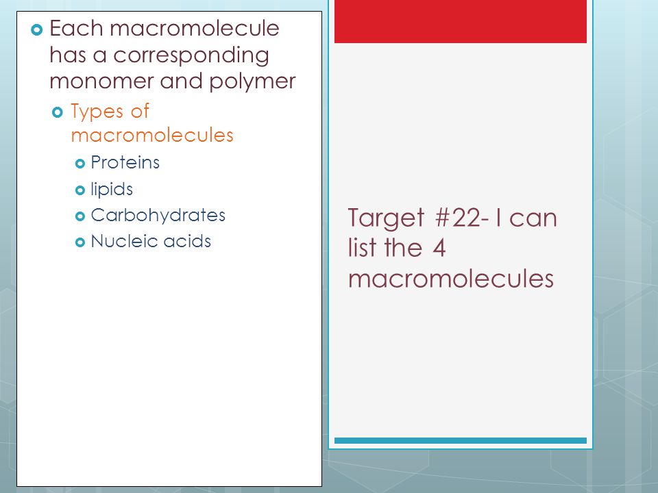 Target #22- I can list the 4 macromolecules