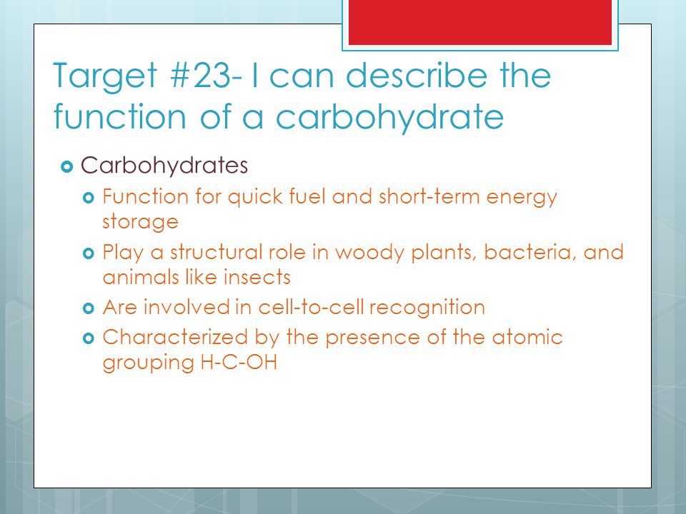 Target #23- I can describe the function of a carbohydrate