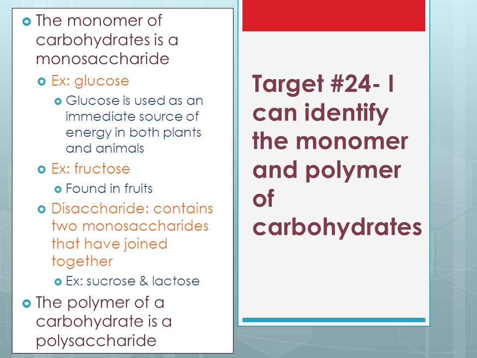 Target #24- I can identify the monomer and polymer of carbohydrates