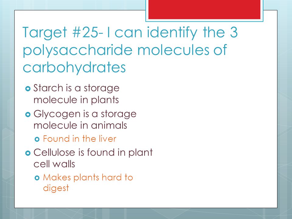 Target #25- I can identify the 3 polysaccharide molecules of carbohydrates