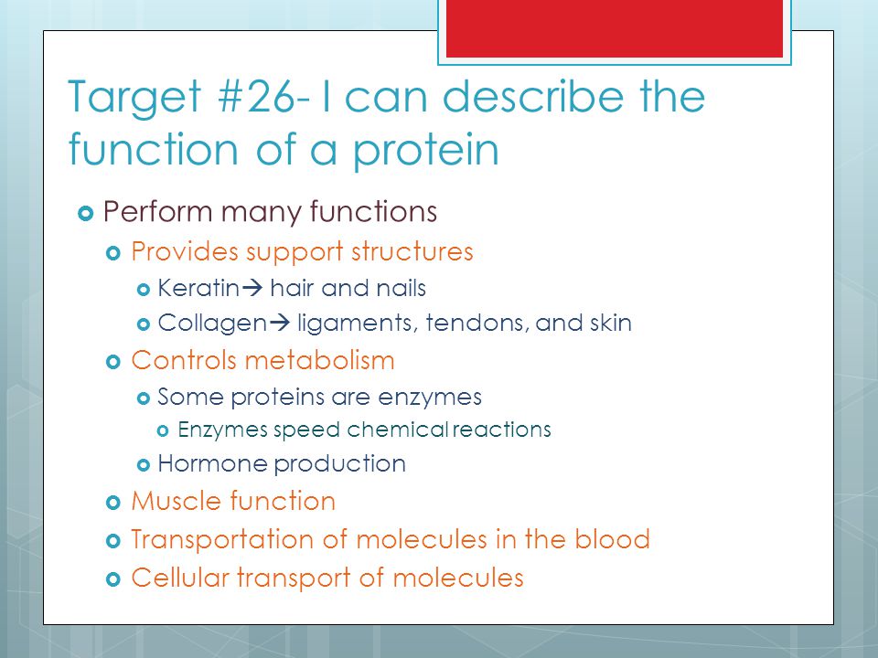 Target #26- I can describe the function of a protein
