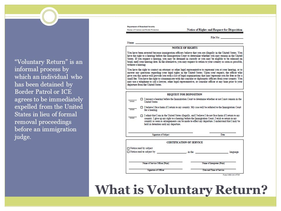 What is Voluntary Return