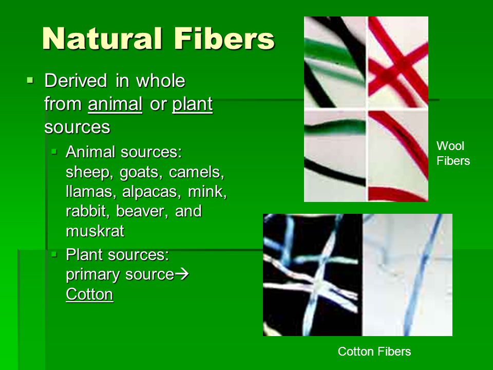 Natural Fibers Derived in whole from animal or plant sources