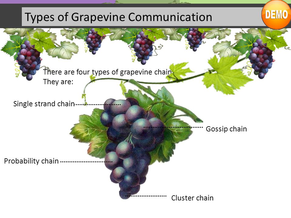 organizational grapevine definition