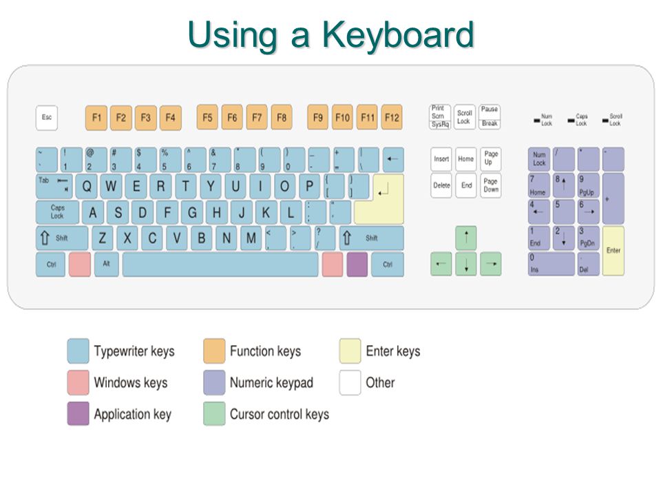 Using a Keyboard Alphanumeric Keys: These keys are used for entering letters and numbers.