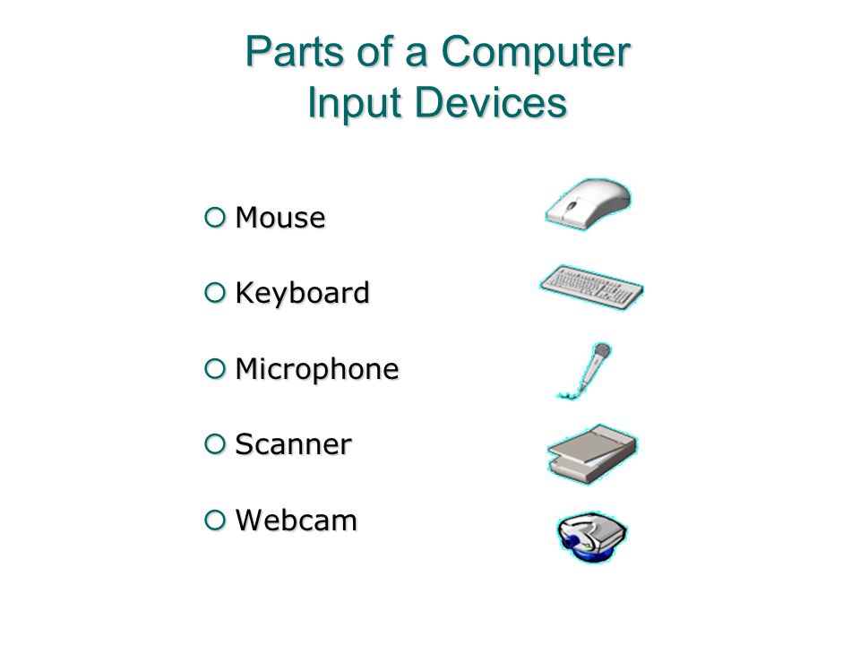 Parts of a Computer Input Devices