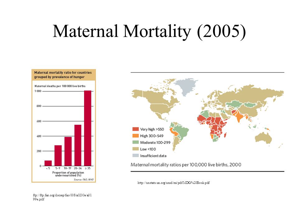 Maternal Mortality (2005)