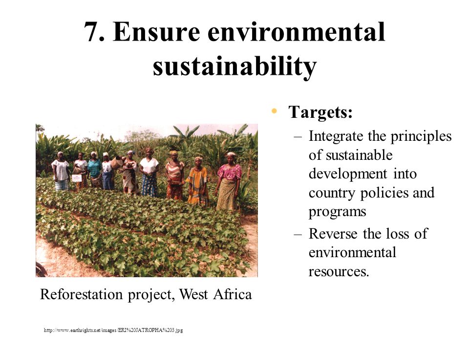 7. Ensure environmental sustainability