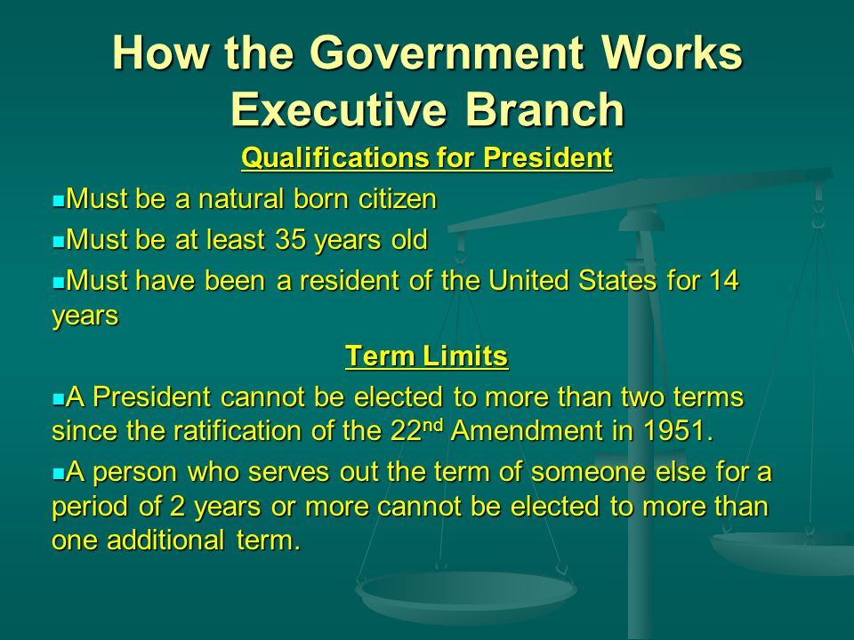 How the Government Works Executive Branch