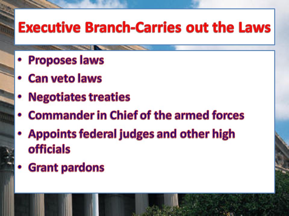 Executive Branch-Carries out the Laws