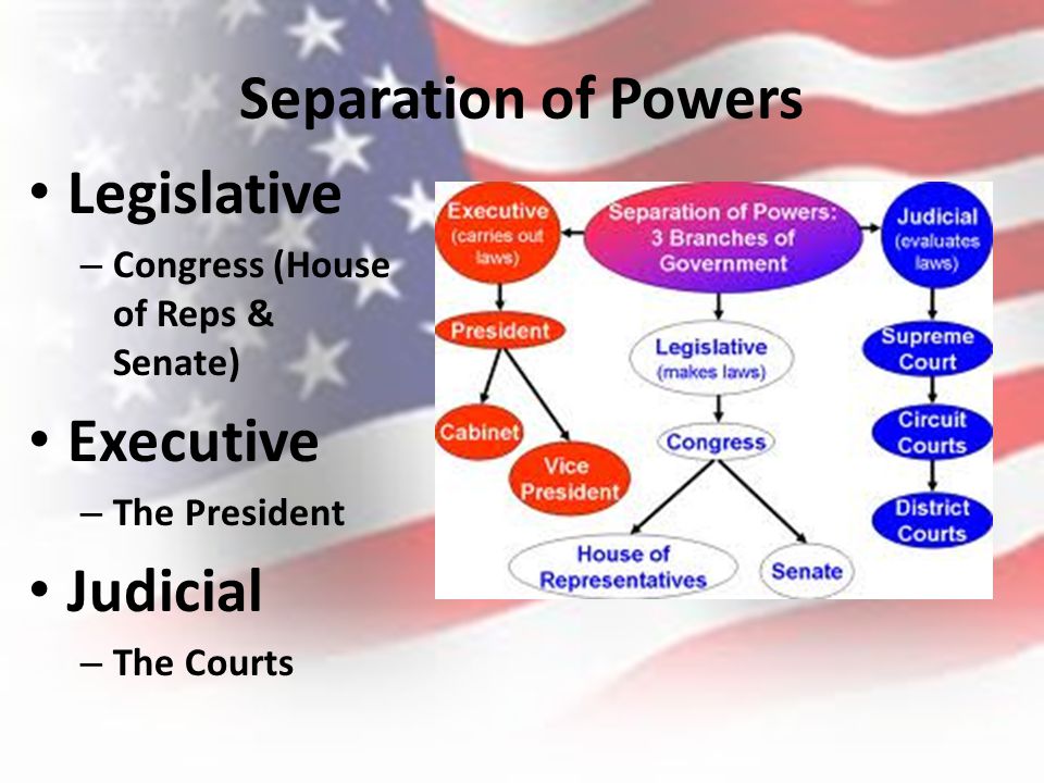 CONSTITUTIONAL PRINCIPLES - ppt download