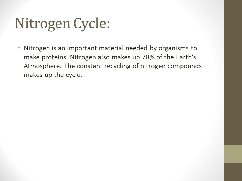 Nitrogen Cycle: