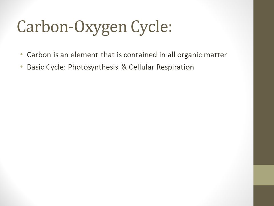 Carbon-Oxygen Cycle: Carbon is an element that is contained in all organic matter.