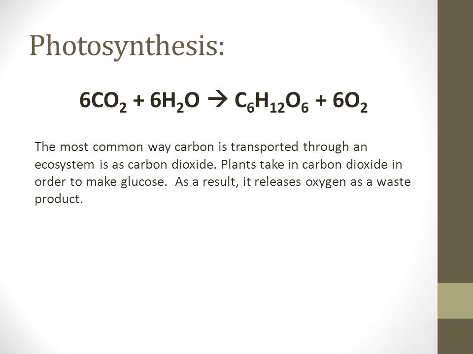 Photosynthesis: 6CO2 + 6H2O  C6H12O6 + 6O2