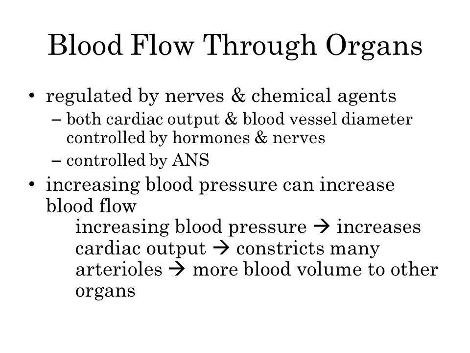 Blood Flow Through Organs