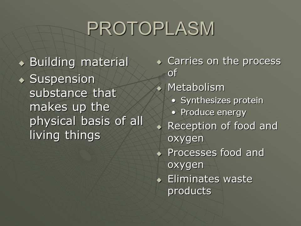 Chemical composition of protoplasm