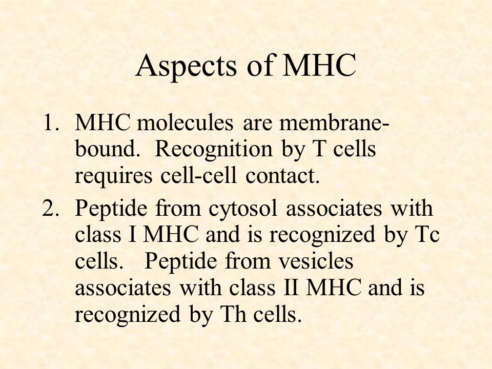 Aspects of MHC MHC molecules are membrane-bound. Recognition by T cells requires cell-cell contact.