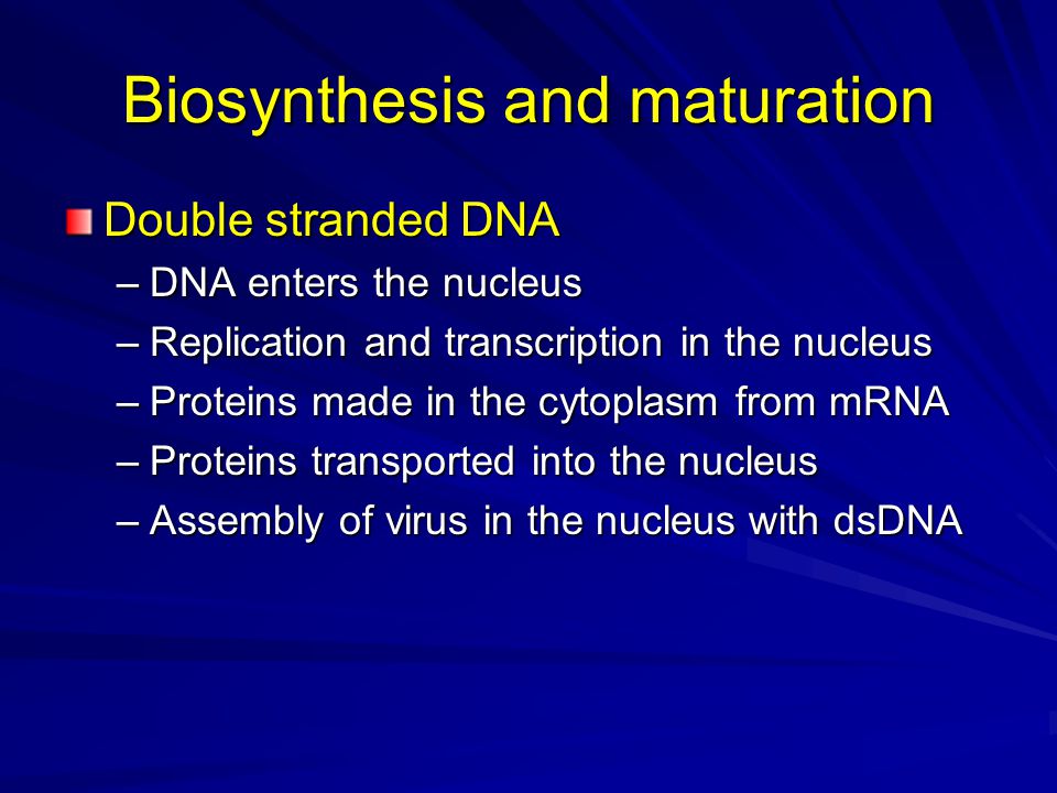 Biosynthesis and maturation