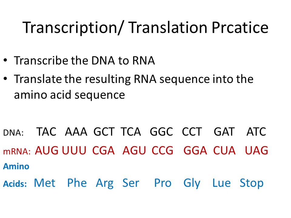 how to transcribe dna to rna how to transcribe dna to rna
