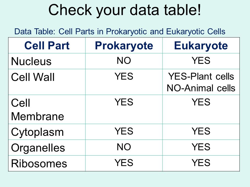 Prokaryotic Cells Vs Eukaryotic Cells Chart Ponasa