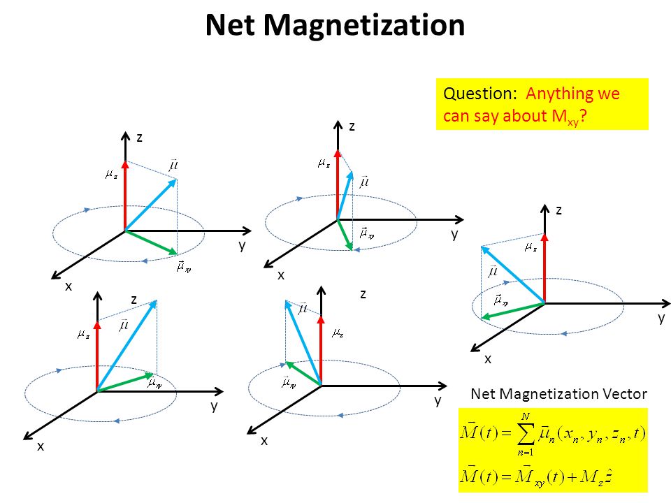 ELEG 479 Lecture #9 Magnetic Resonance (MR) Imaging - ppt video online  download