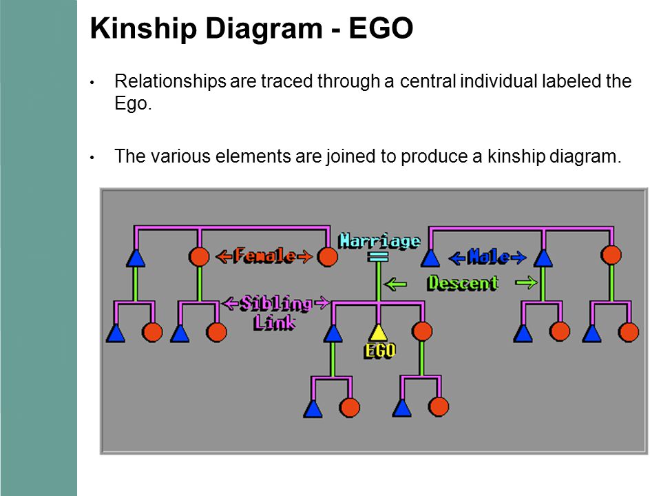 Ego Kinship Chart