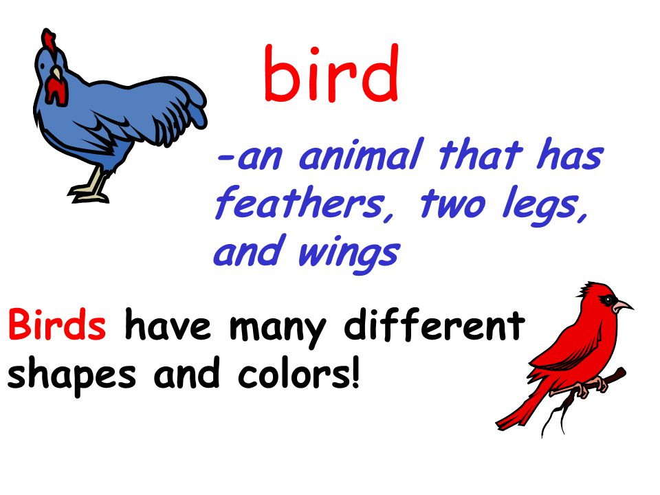 bird -an animal that has feathers, two legs, and wings