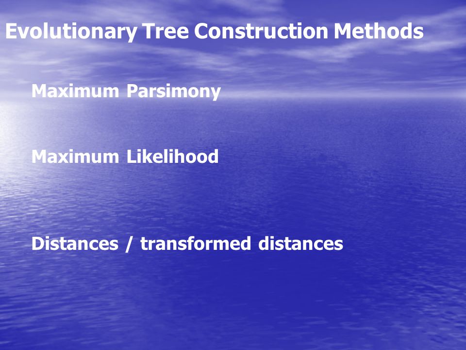Evolutionary Tree Construction Methods