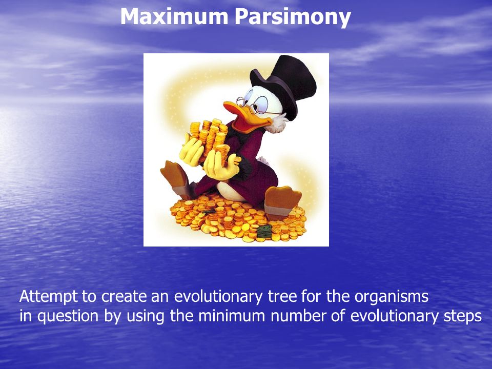 Maximum Parsimony Attempt to create an evolutionary tree for the organisms.