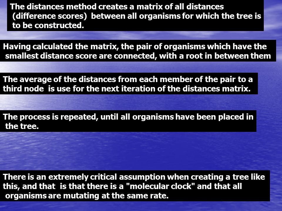 The distances method creates a matrix of all distances