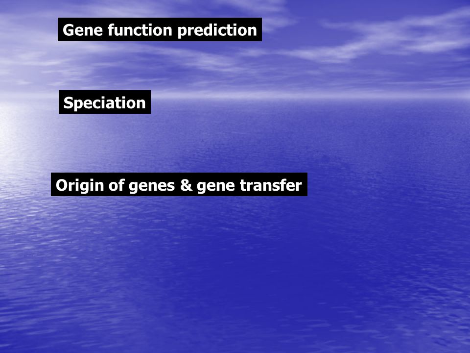 Gene function prediction