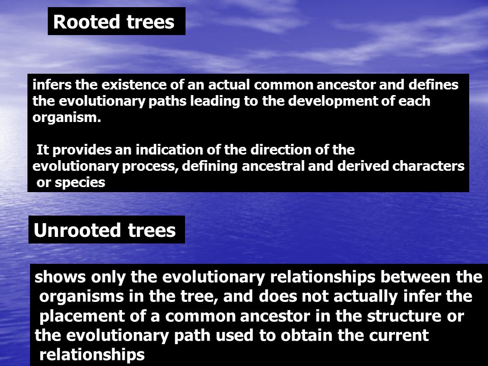 Rooted trees Unrooted trees