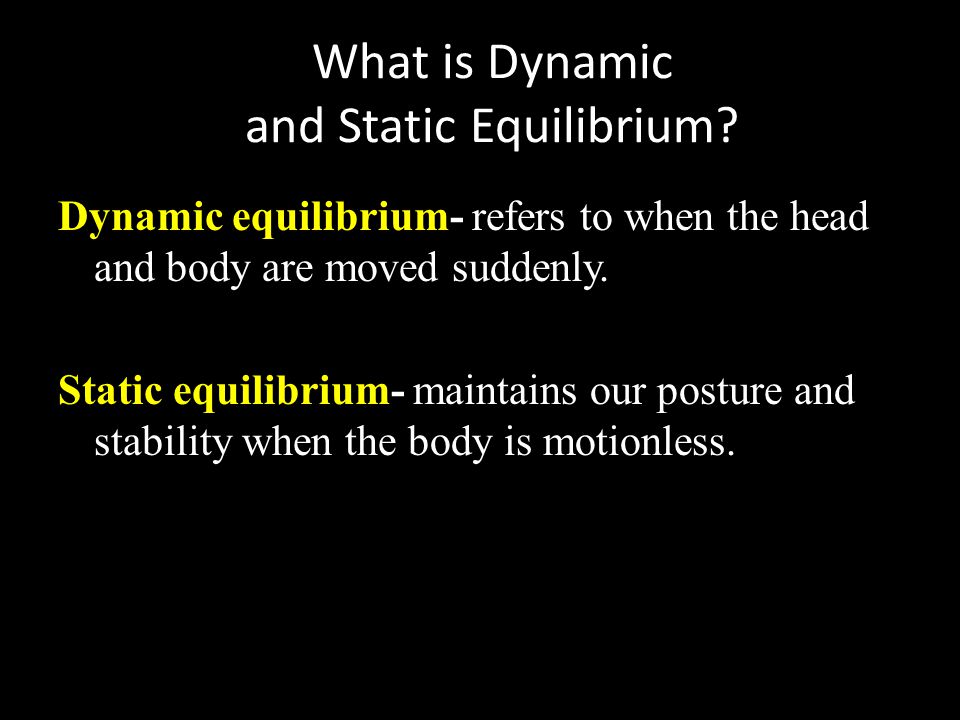 What is Dynamic and Static Equilibrium