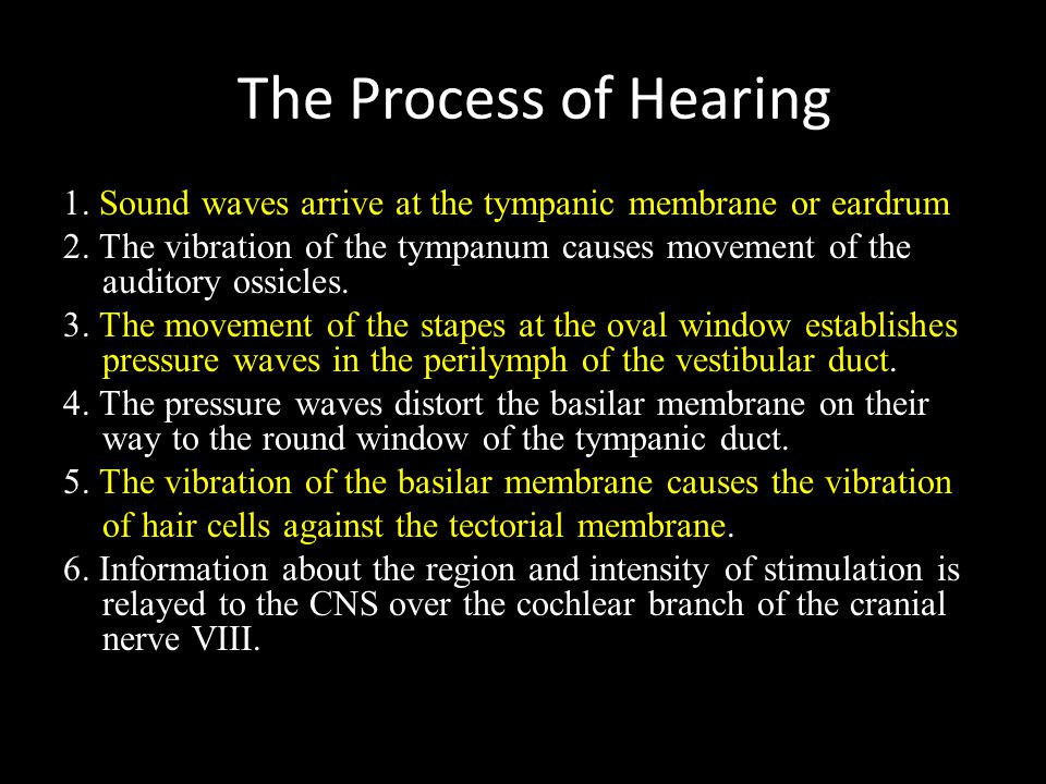 The Process of Hearing