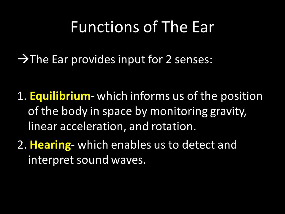Functions of The Ear
