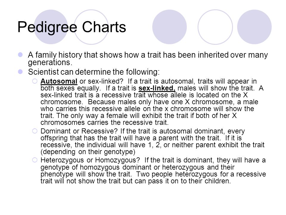 A Pedigree Chart Can Show A Trait That Is