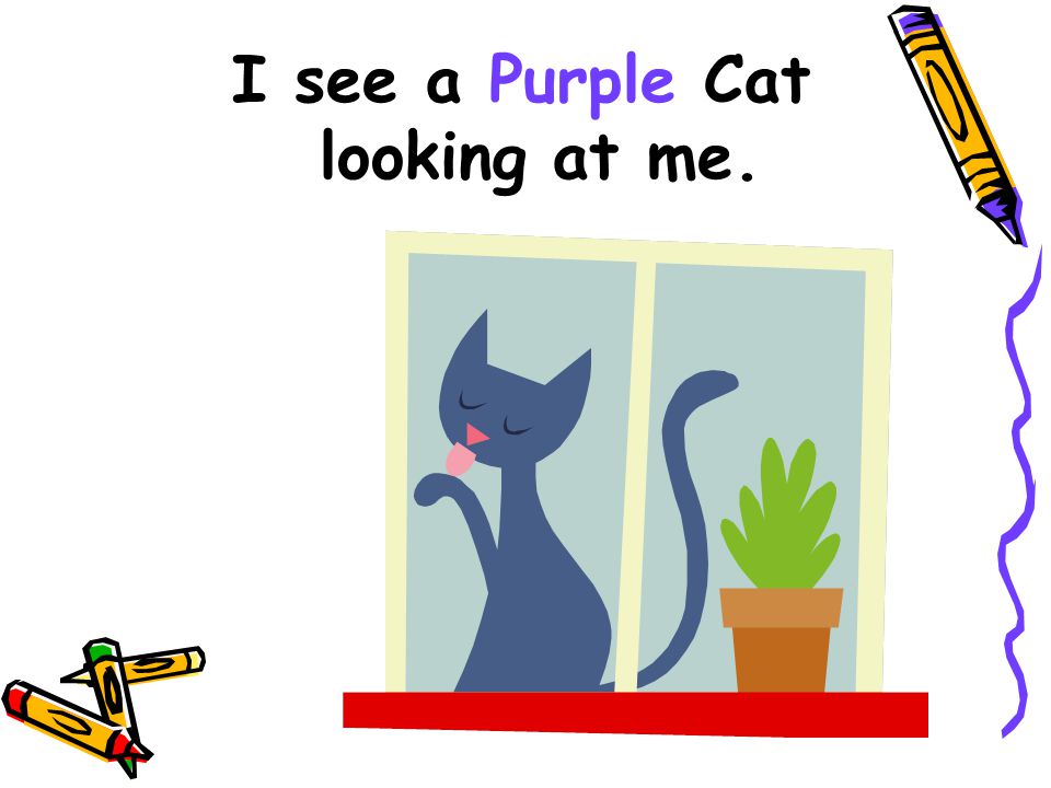 I see a Purple Cat looking at me.