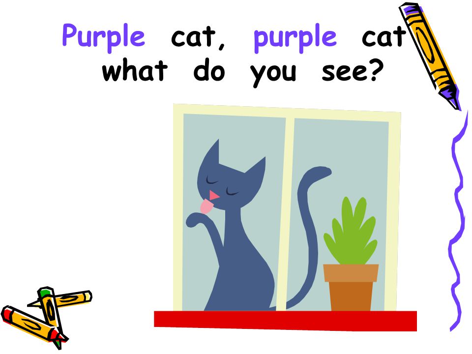 Purple cat, purple cat what do you see