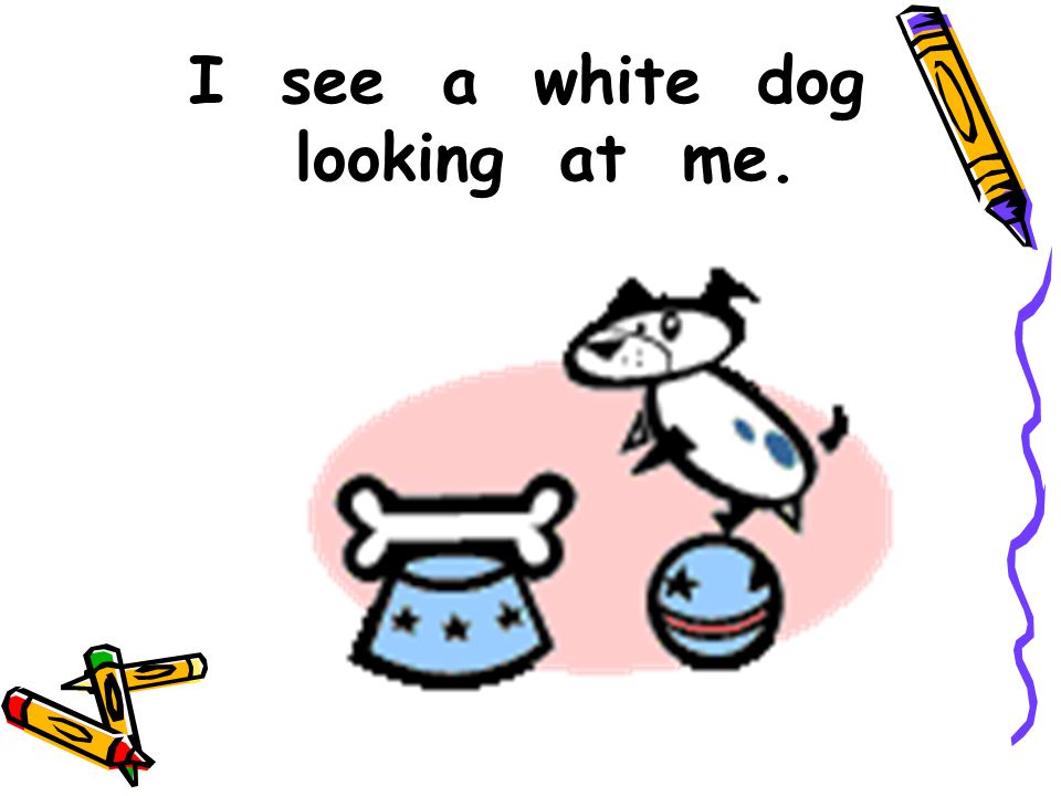 I see a white dog looking at me.