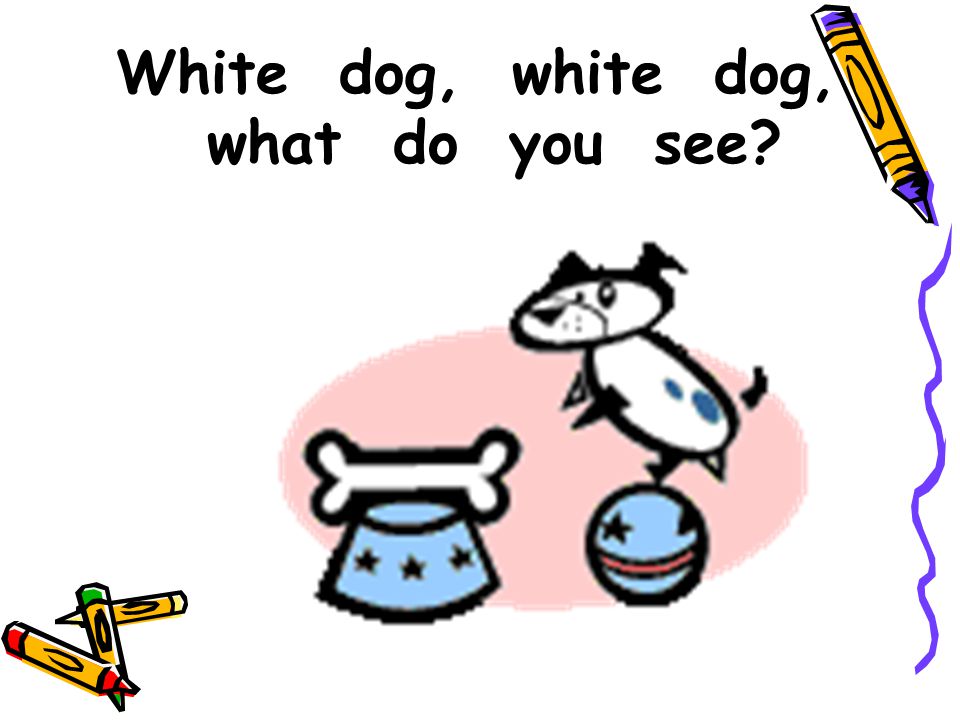 White dog, white dog, what do you see