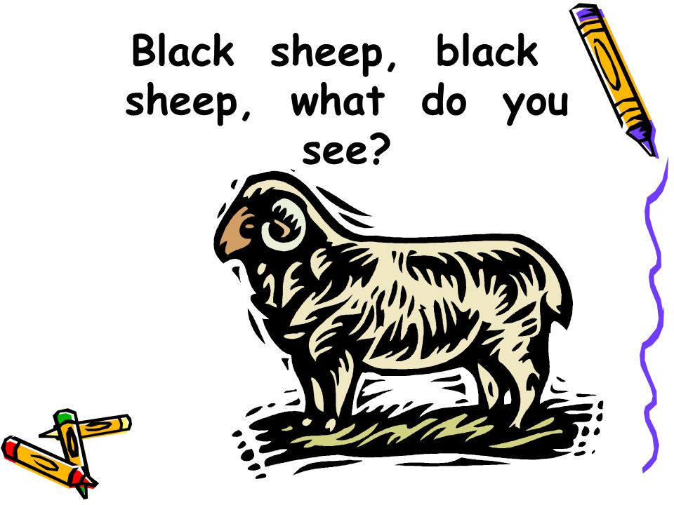 Black sheep, black sheep, what do you see