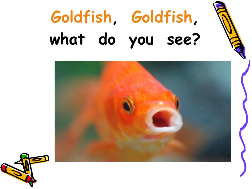 Goldfish, Goldfish, what do you see