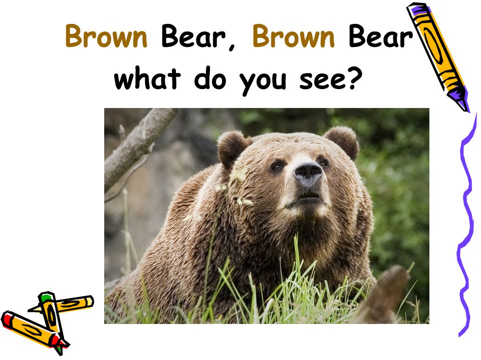 Brown Bear, Brown Bear what do you see