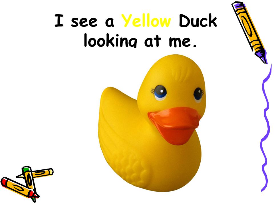 I see a Yellow Duck looking at me.