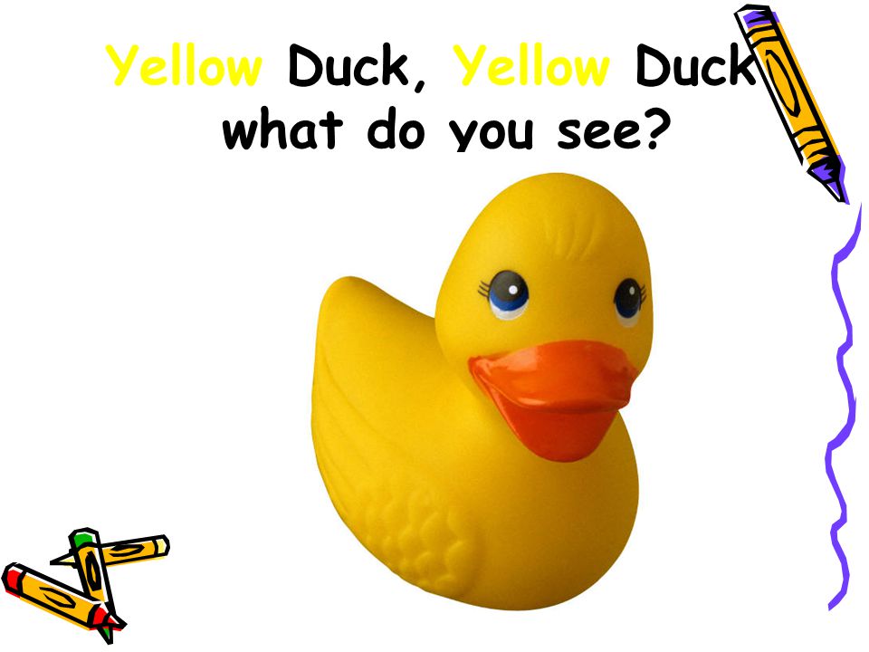 Yellow Duck, Yellow Duck what do you see