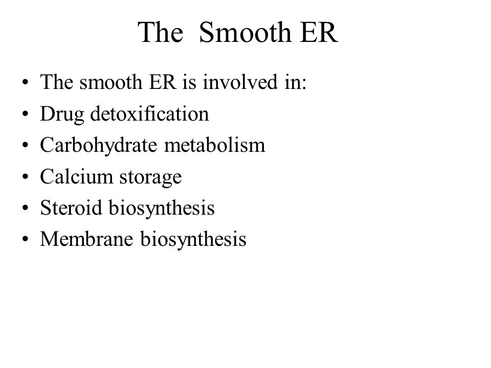 The Smooth ER The smooth ER is involved in: Drug detoxification